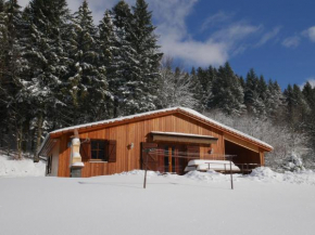 Chalet au bord du lac de Longemer